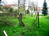 likvidace Petýrkovy zahrady
