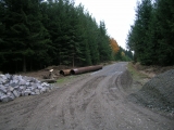 DSCN1849