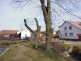 kácení